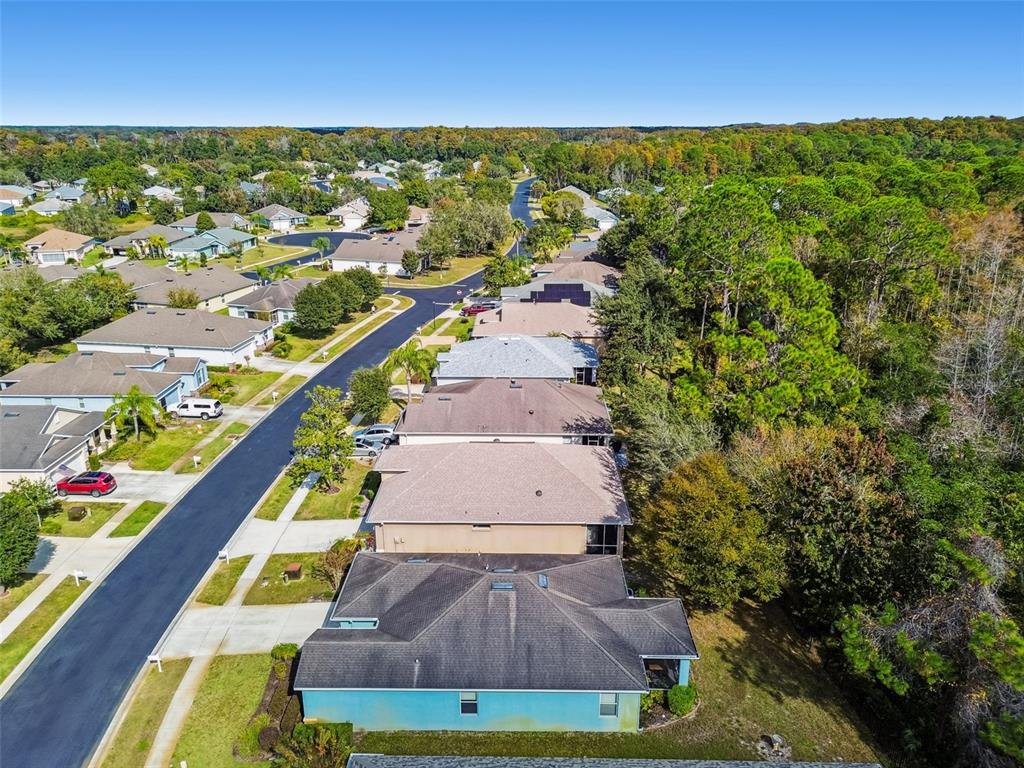 11150 Paradise Pointe Way New Port Richey, FL 34654 - Photo 40 of 91 an aerial view of residential houses with outdoor space and trees