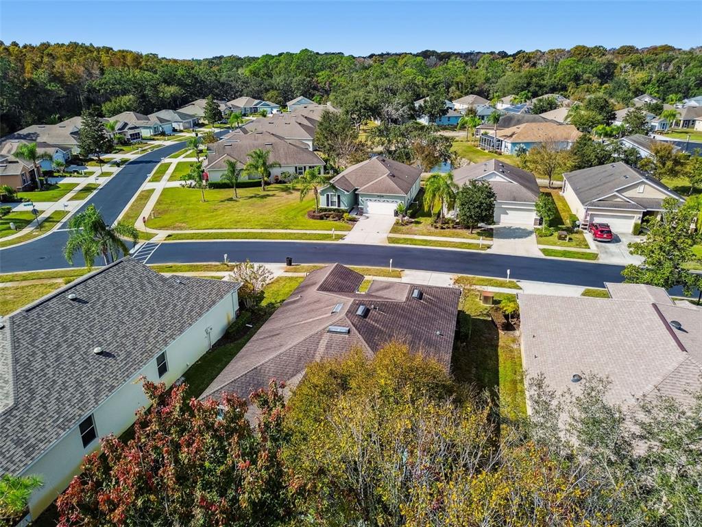 11150 Paradise Pointe Way New Port Richey, FL 34654 - Photo 42 of 91