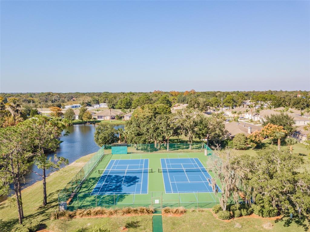 11150 Paradise Pointe Way New Port Richey, FL 34654 - Photo 53 of 91 an aerial view of residential houses with outdoor space
