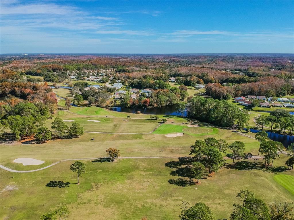 11150 Paradise Pointe Way New Port Richey, FL 34654 - Photo 59 of 91