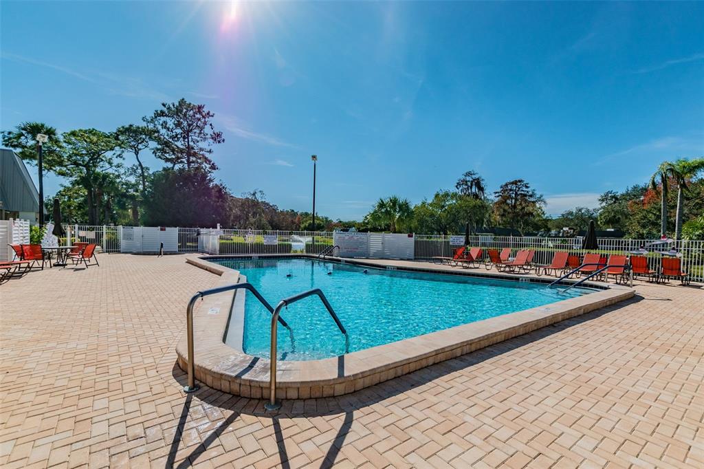 11150 Paradise Pointe Way New Port Richey, FL 34654 - Photo 82 of 91 a view of a swimming pool with a lounge chair