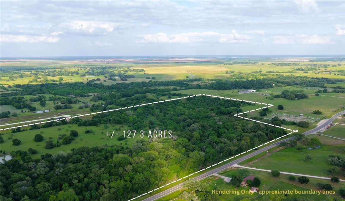 269 ( /-127.16 Acres) Road Somerville, TX 77879 - Photo 8 of 16