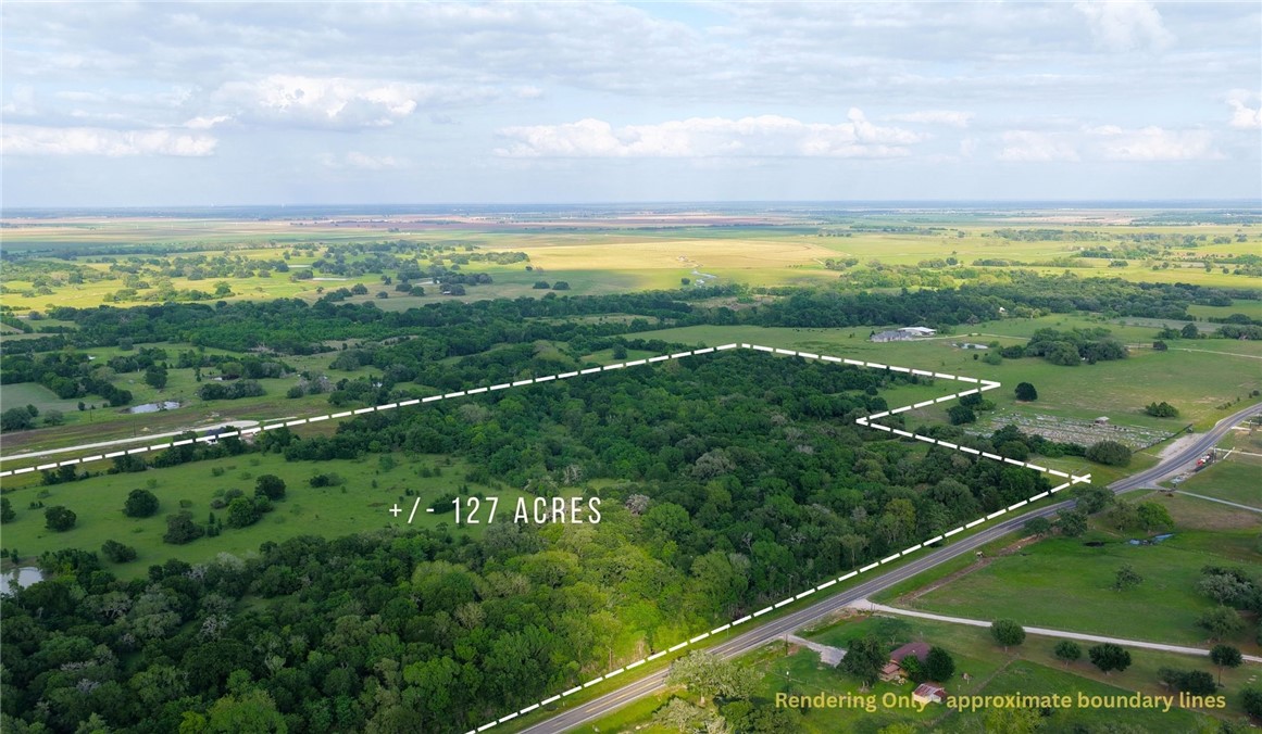 269 ( /-127.16 Acres) Road Somerville, TX 77879 - Photo 9 of 16