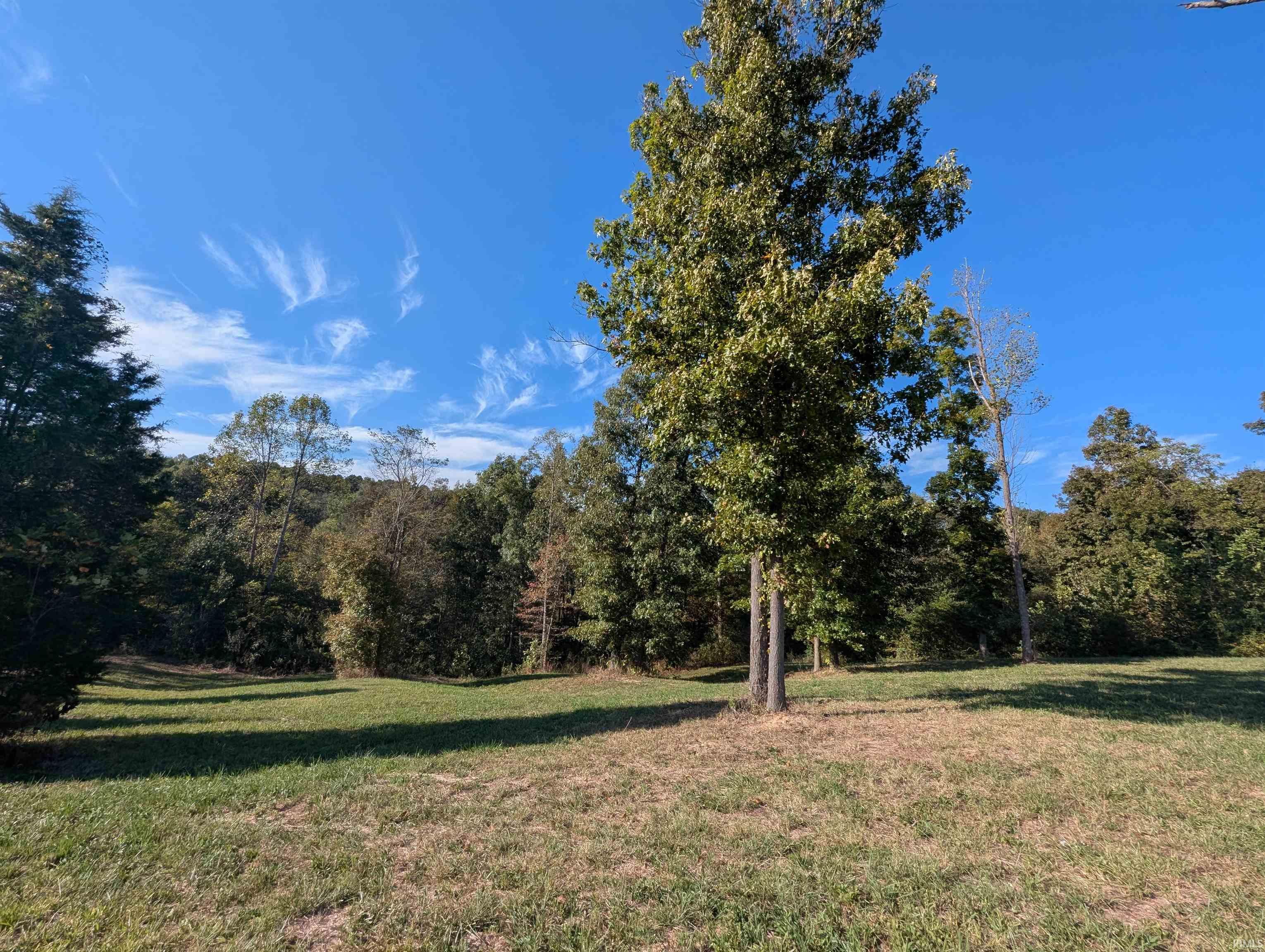 3.5-acres Chicken Farm Road Shoals, IN 47581 - Photo 4 of 12