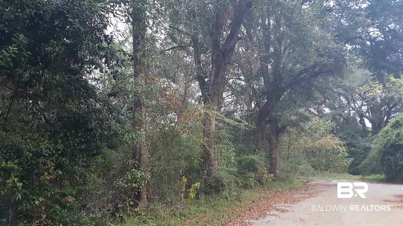 0 Montgomery Street Daphne, AL 36526 - Photo 2 of 2