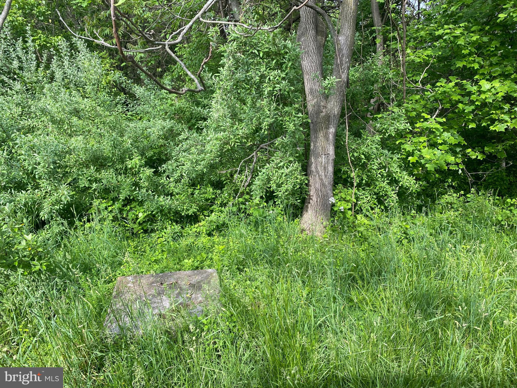 3258 Apple Pie Ridge Road Winchester, VA 22603 - Photo 11 of 14 Septic tank