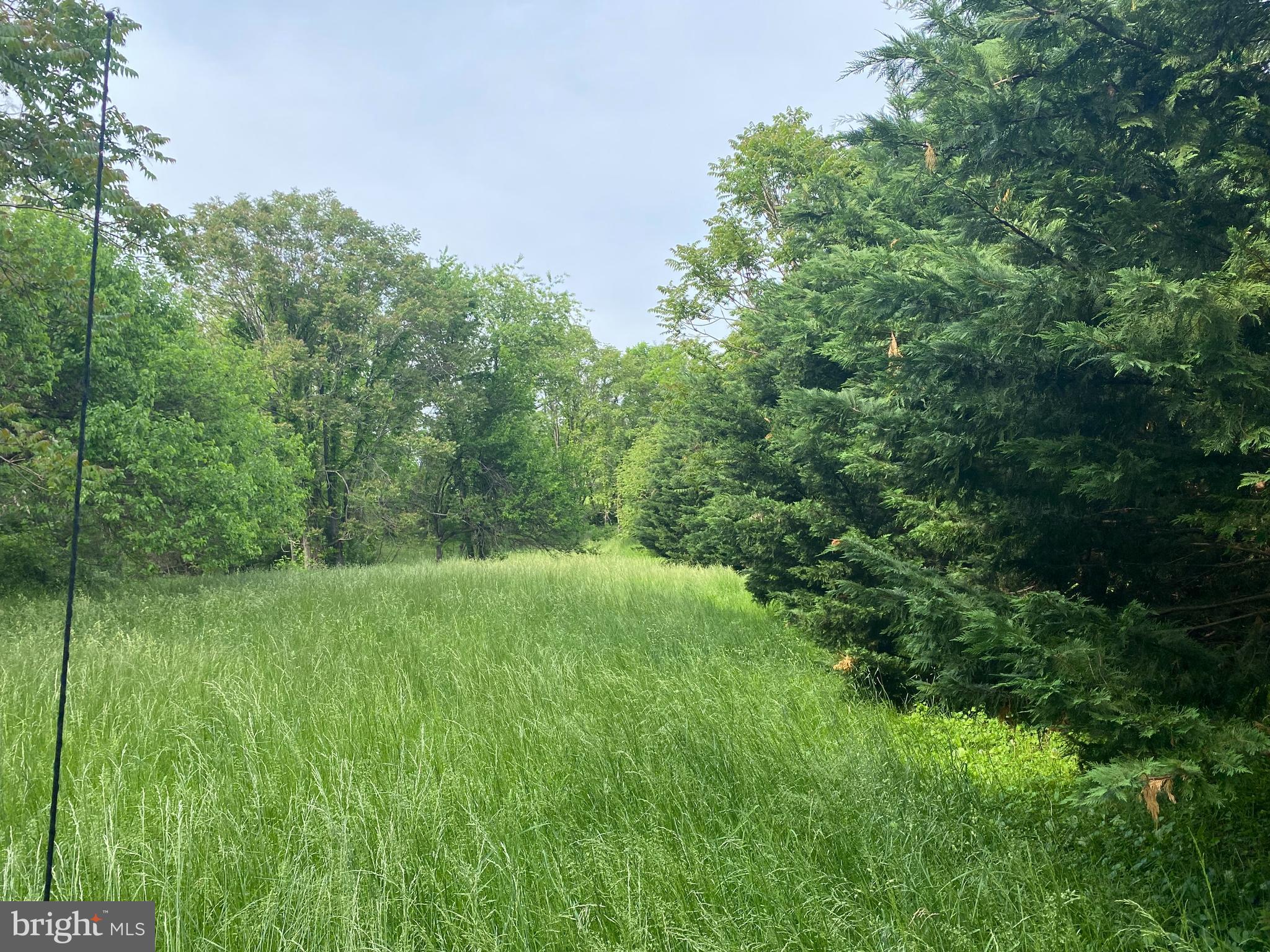 3258 Apple Pie Ridge Road Winchester, VA 22603 - Photo 2 of 14