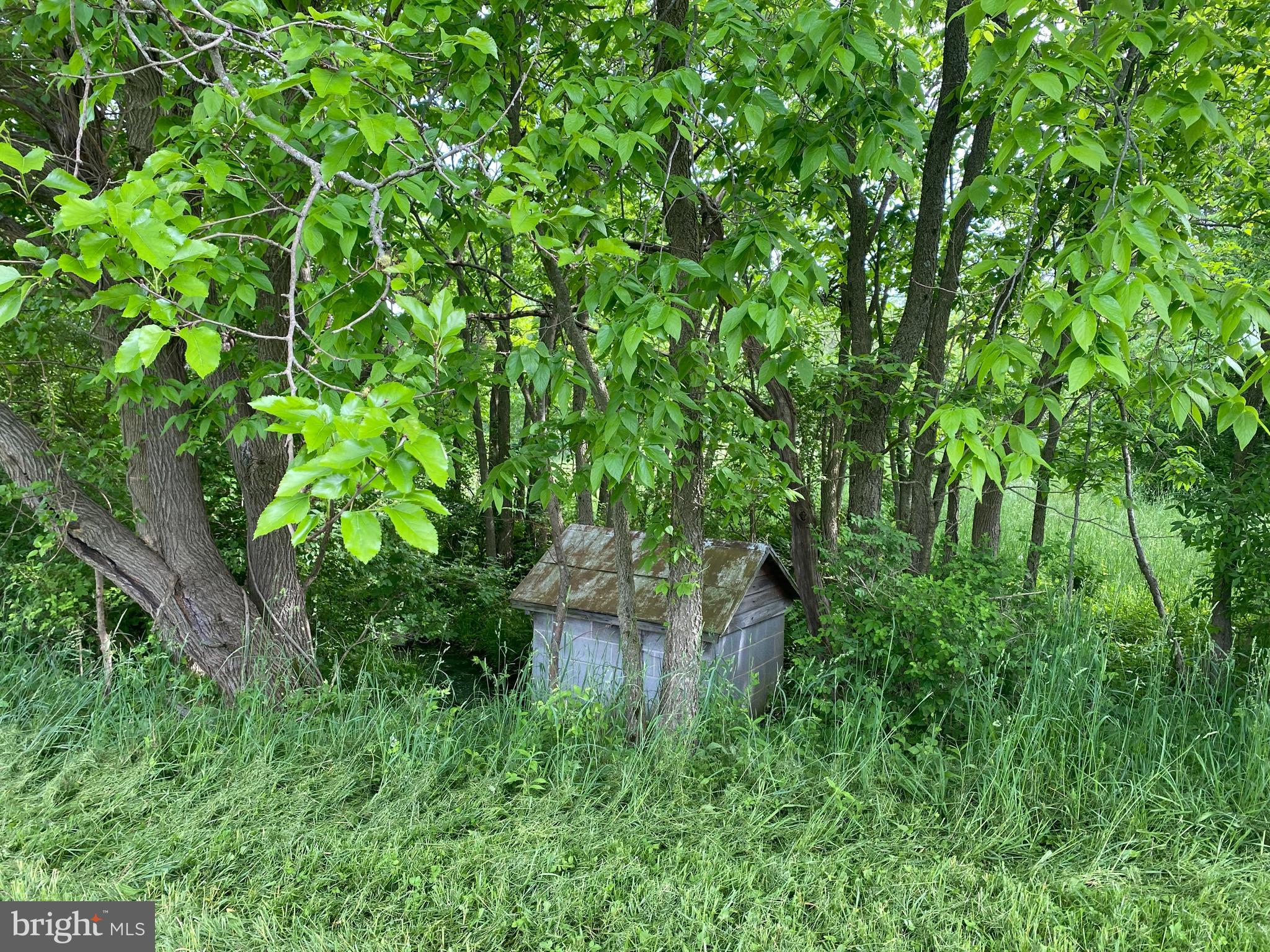 3258 Apple Pie Ridge Road Winchester, VA 22603 - Photo 3 of 14 Spring House