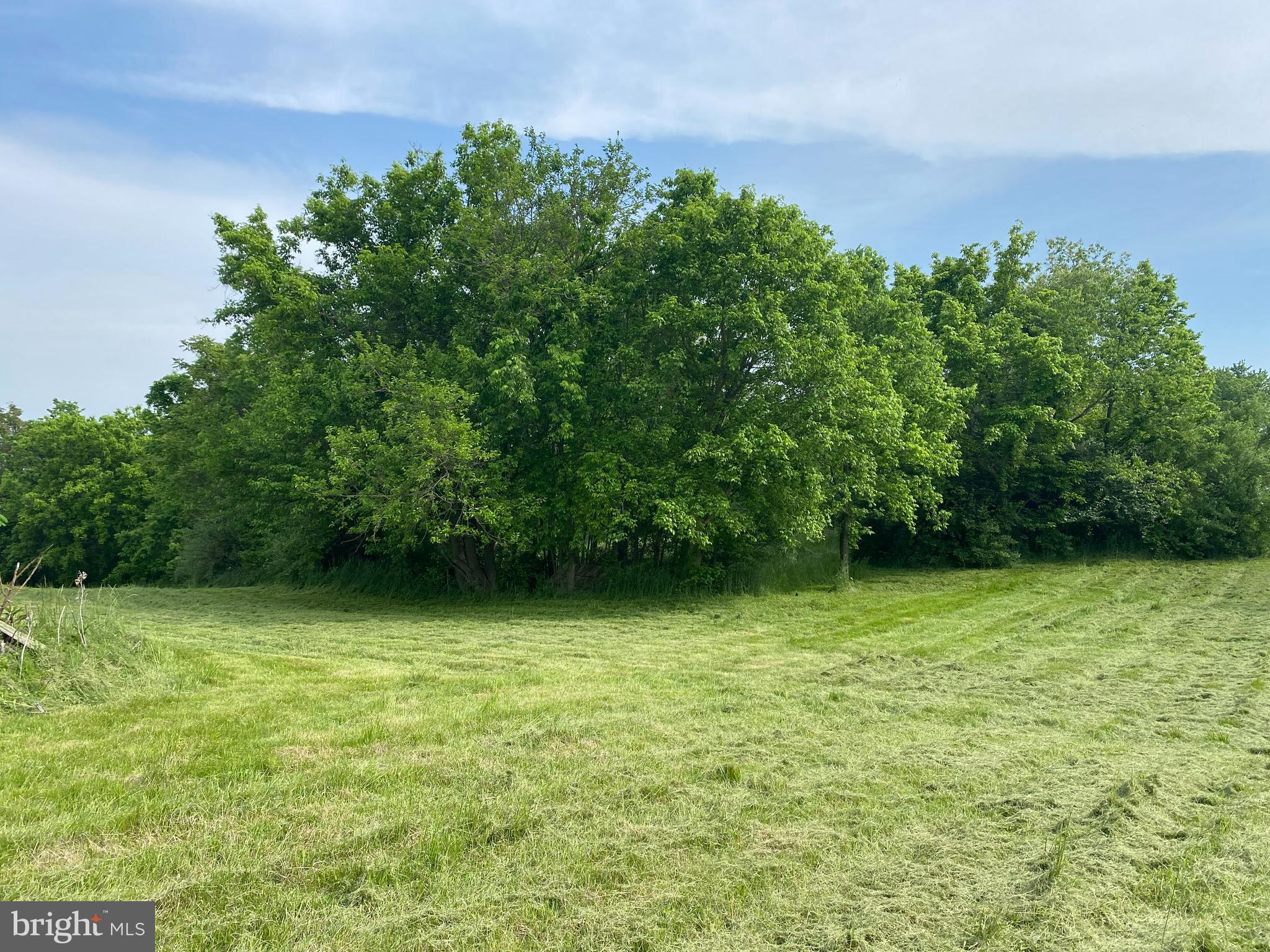 3258 Apple Pie Ridge Road Winchester, VA 22603 - Photo 6 of 14