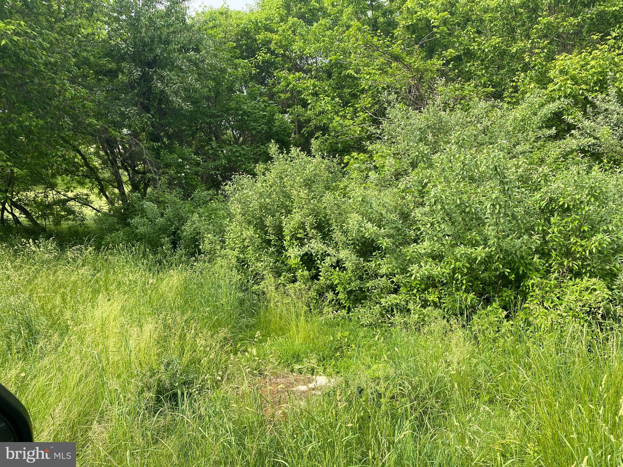 3258 Apple Pie Ridge Road Winchester, VA 22603 - Photo 10 of 14 Septic tank