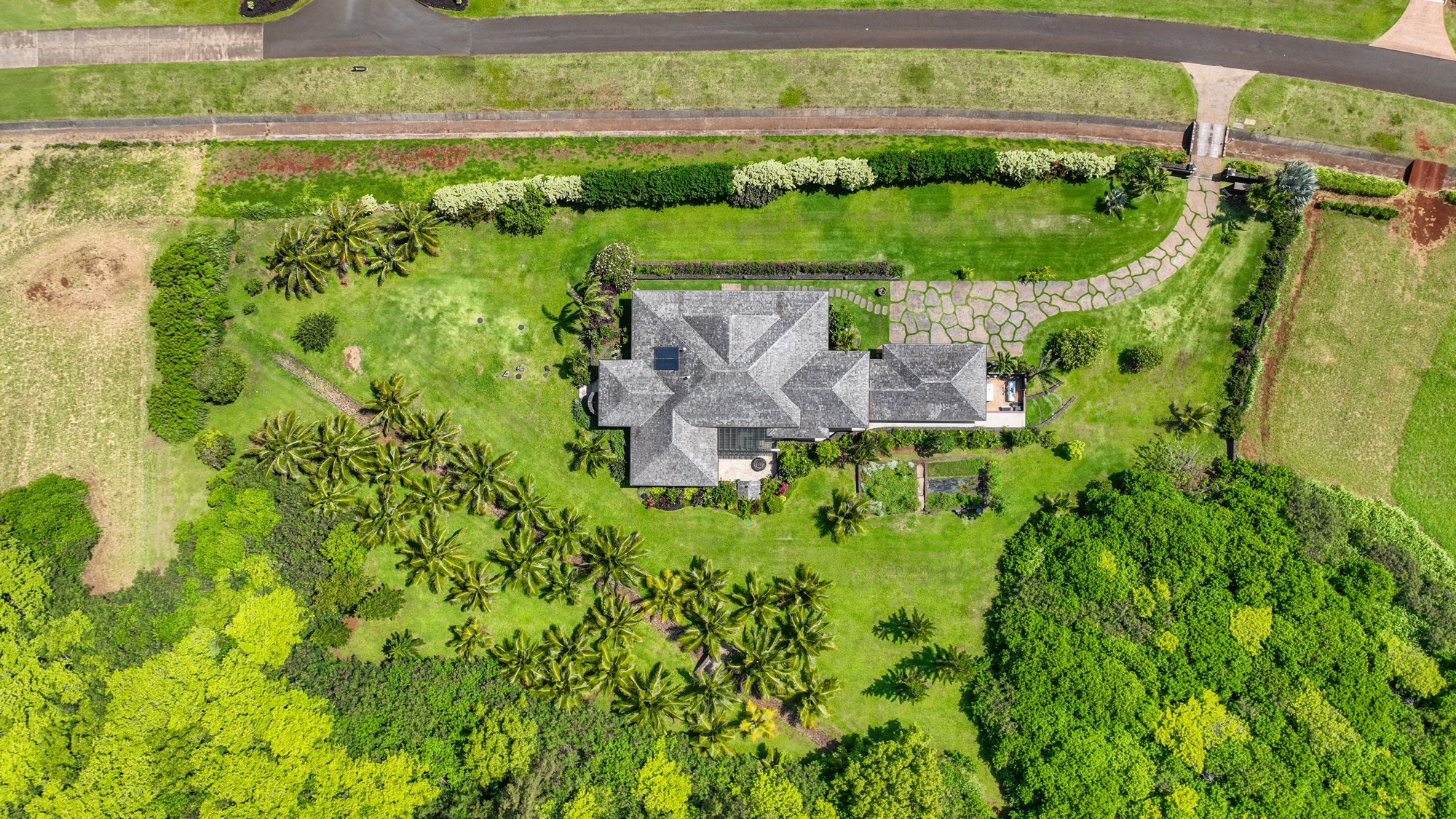 2332 Makana Ano Place Kilauea, HI 96754 - Photo 27 of 30 a view of a yard with plants and large tree