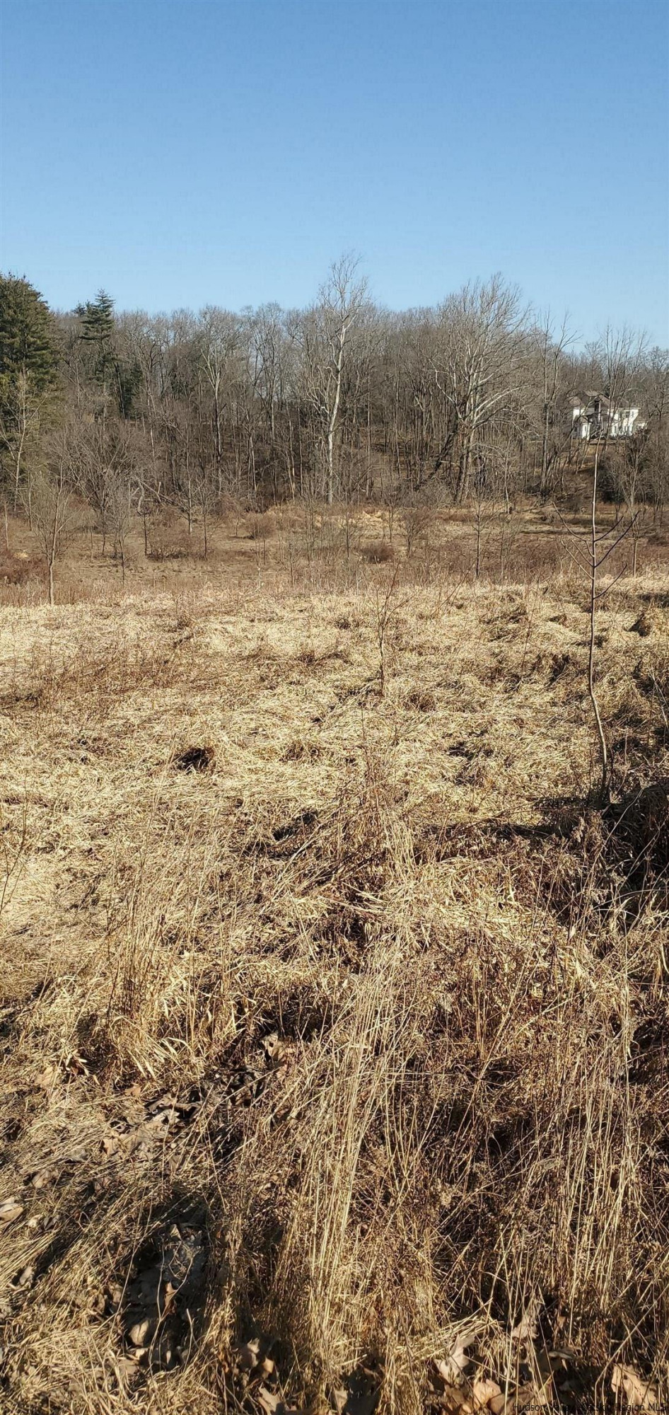 Tbd Boice Mill Road Kerhonkson, NY 12446 - Photo 6 of 8 High ground is about 2 acres