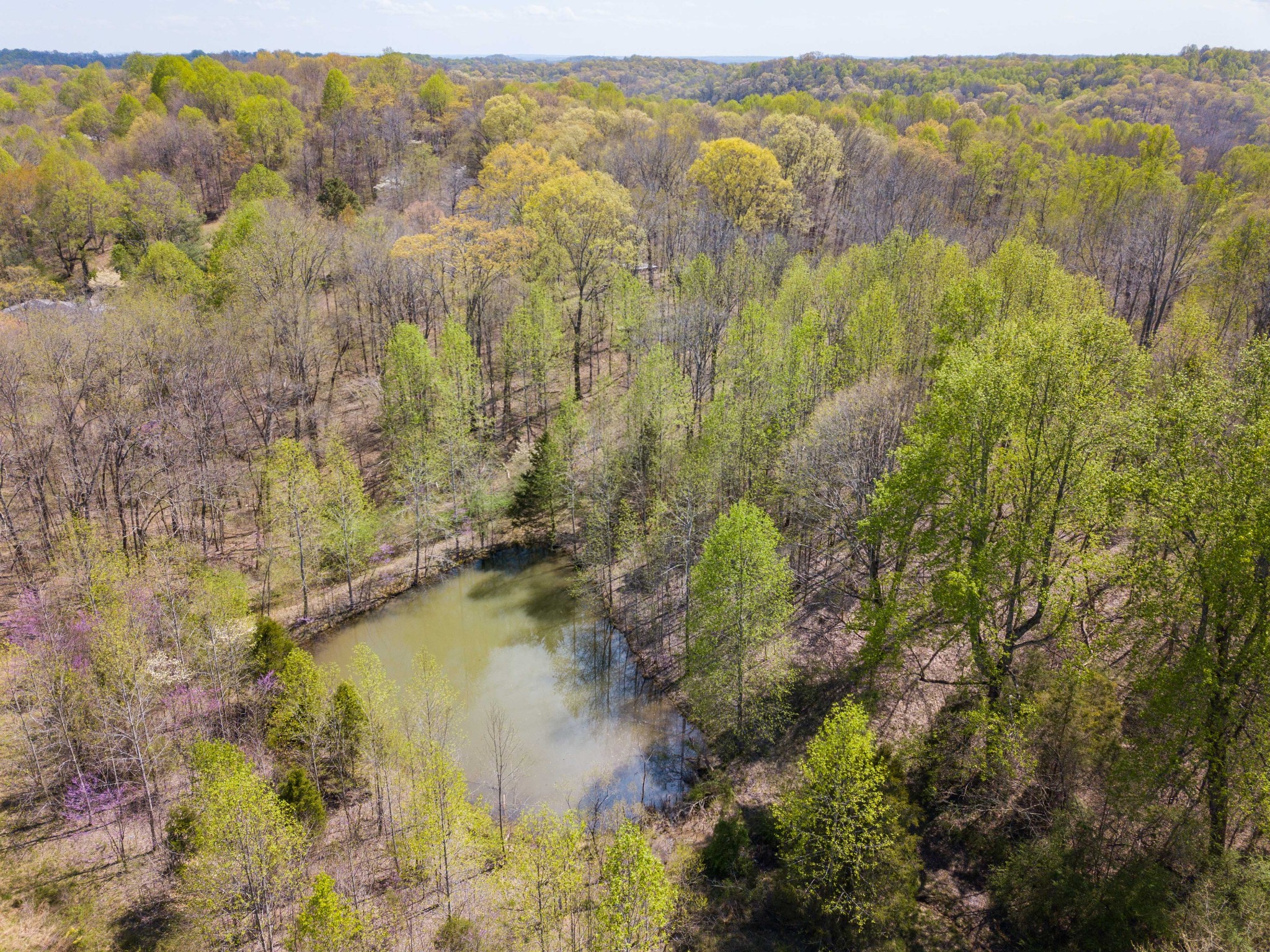 1520 Shell Road Hendersonville, TN 37075 - Photo 4 of 50 Gallery Image 4