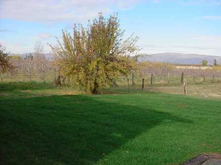 12603 Nelson Road Yakima, WA 98903 - Photo 19 of 22 a view of a green field with trees in the background