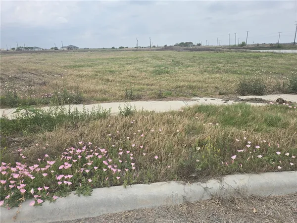 $259,000 | 1685 Gemini Acrs Drive, Corpus Christi, TX 78415