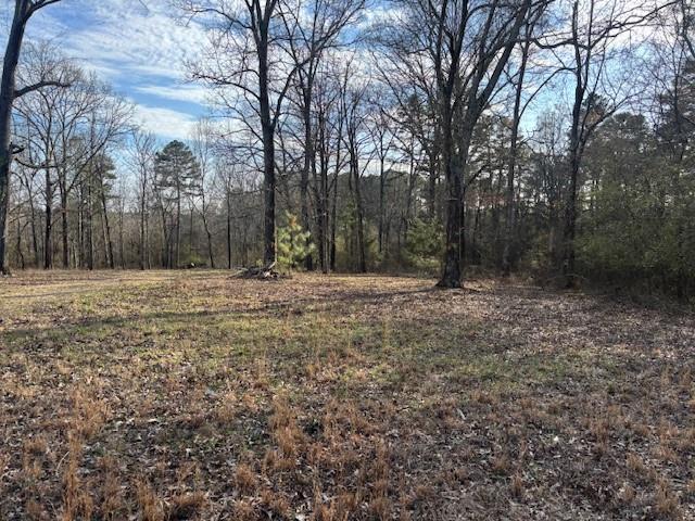37 Davis Loop Kingston, GA 30145 - Photo 6 of 11