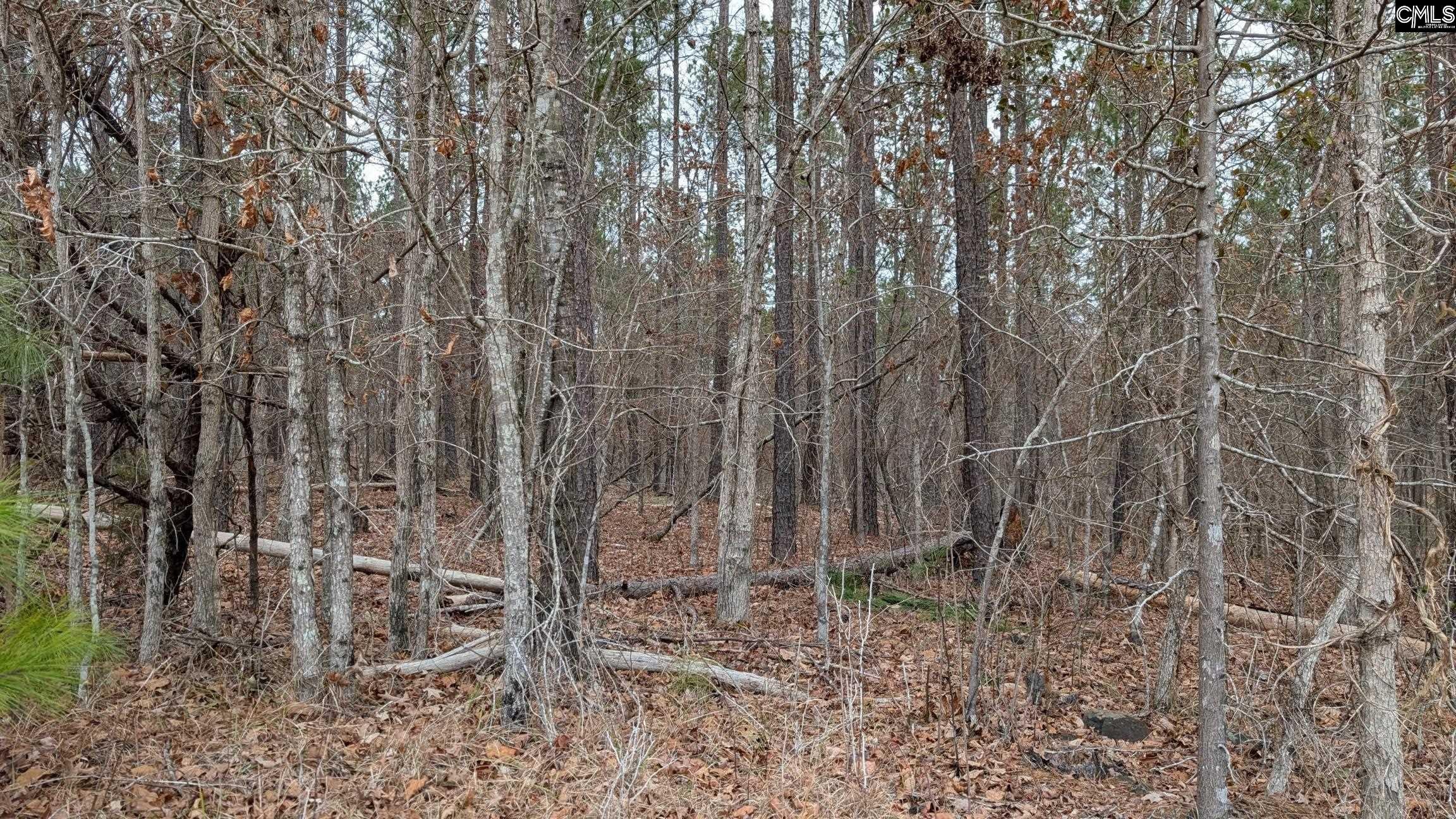Lot 3 Retreat Way Ridgeway, SC 29130 - Photo 19 of 23 Gallery Image 19
