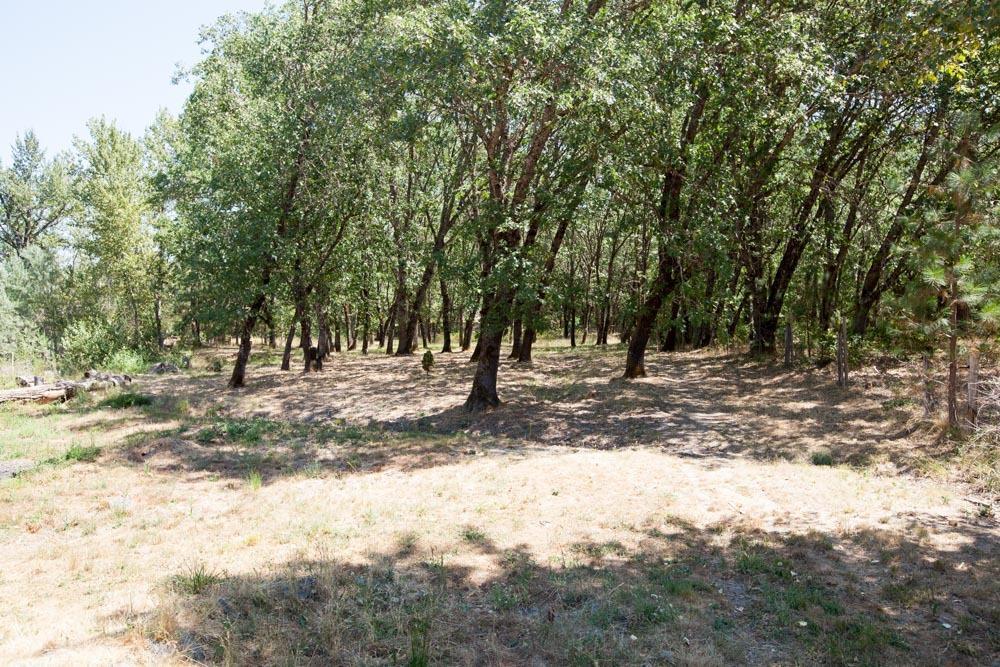 2891 Jerome Prairie Road Grants Pass, OR 97527 - Photo 11 of 23 Additional Photo