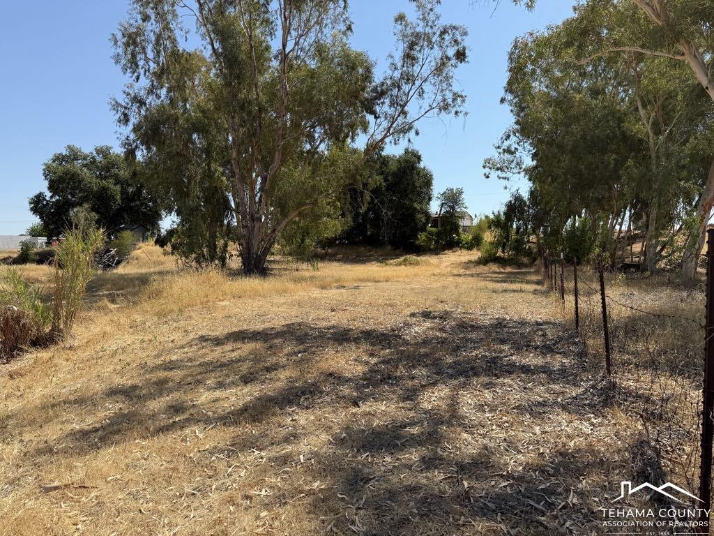 4471 Kopta Road Corning, CA 96021 - Photo 8 of 15