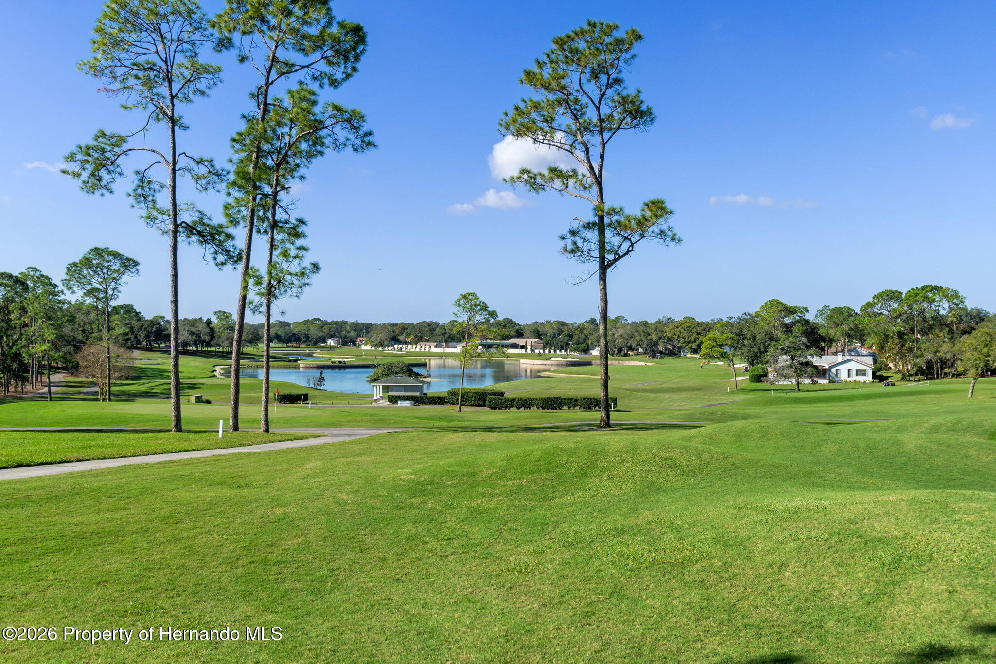 6300 Darien Way Spring Hill, FL 34606 - Photo 52 of 95