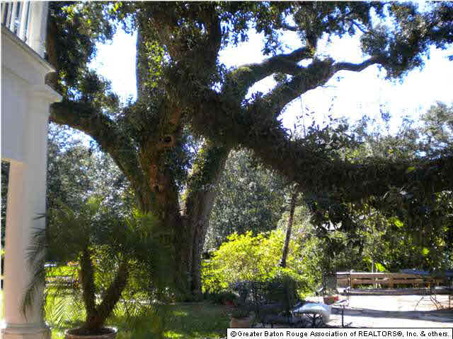 3048 Reymond Avenue Baton Rouge, LA 70808 - Photo 14 of 15 Gallery Image 14