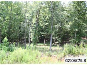 6 Millstone Creek Road Lancaster, SC 29720 - Photo 1 of 5 a backyard of a house with a yard and large trees