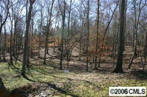 6 Millstone Creek Road Lancaster, SC 29720 - Photo 2 of 5 a view of a forest filled with trees