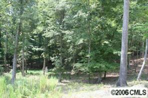 6 Millstone Creek Road Lancaster, SC 29720 - Photo 4 of 5 a view of a yard