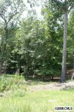 6 Millstone Creek Road Lancaster, SC 29720 - Photo 5 of 5 a view of a yard
