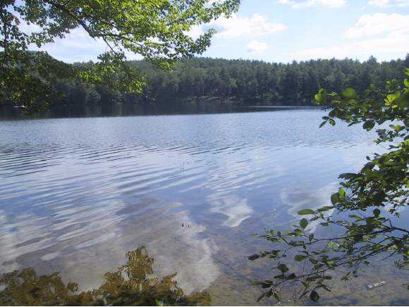 26 Davis Point Road Freedom, NH 03836 - Photo 1 of 1