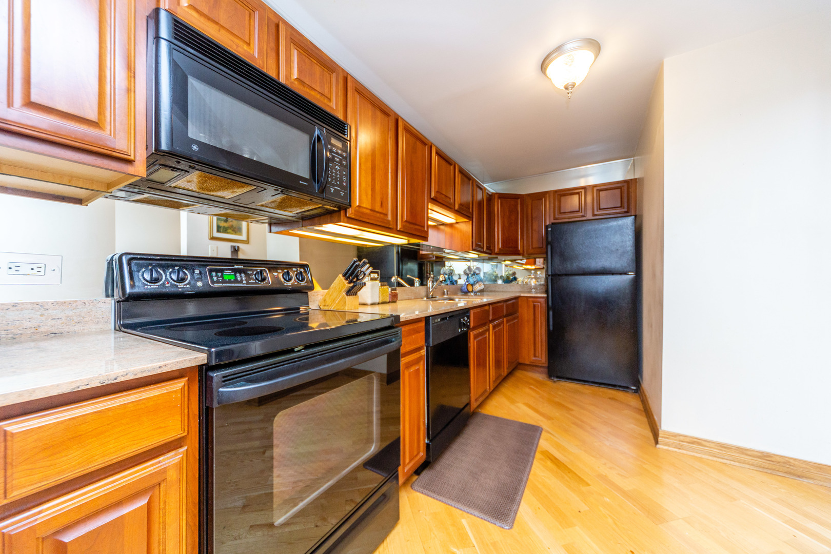 5320 North Sheridan Road, Unit 802 Chicago, IL 60640 - Photo 8 of 26 a kitchen with stainless steel appliances granite countertop a stove and a refrigerator