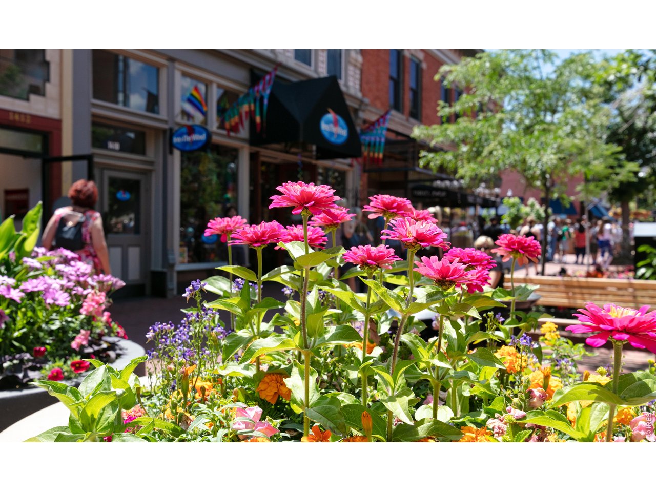 3990 Pleasant Ridge Road Boulder, CO 80301 - Photo 38 of 40 Pearl Street Pedestrian Mall - 10 min