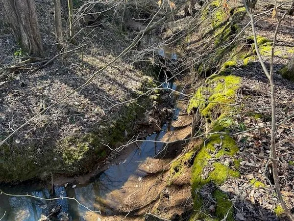 a backyard of a house with a yard and outdoor seating