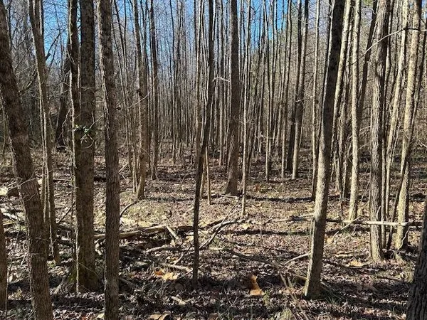 a view of a wooden door