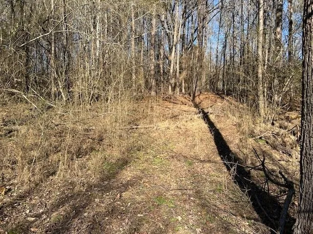a view of a backyard of the house