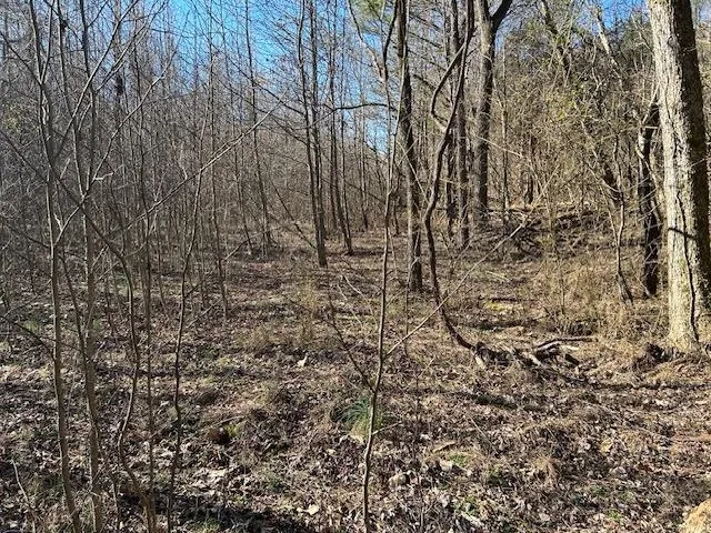 $256,800 | 18 Hwy Jackson Tn 38301, Jackson, TN 38301