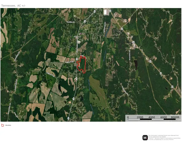 a open area with lots of green trees