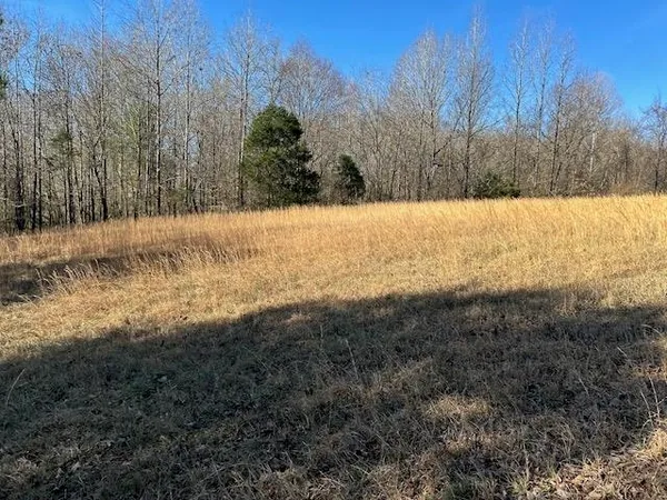 a view of yard covered with snow