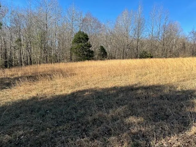 a view of yard covered with snow