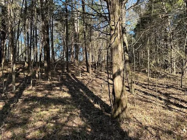 a view of covered with green space