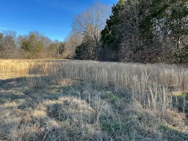 a view of a backyard of a house