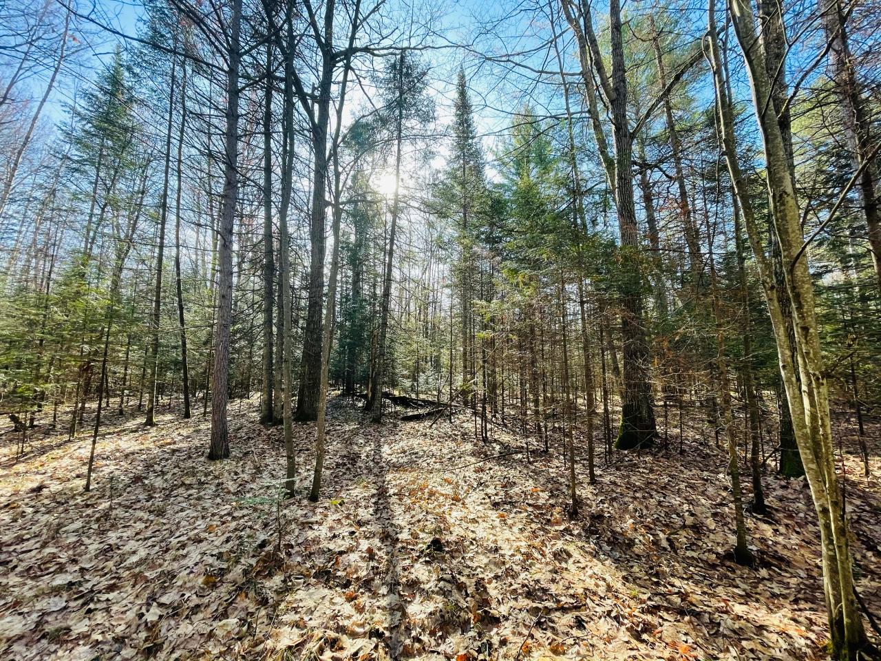 Lot 345 Ridgewood Drive Minocqua, WI 54548 - Photo 2 of 18 Gallery Image 2