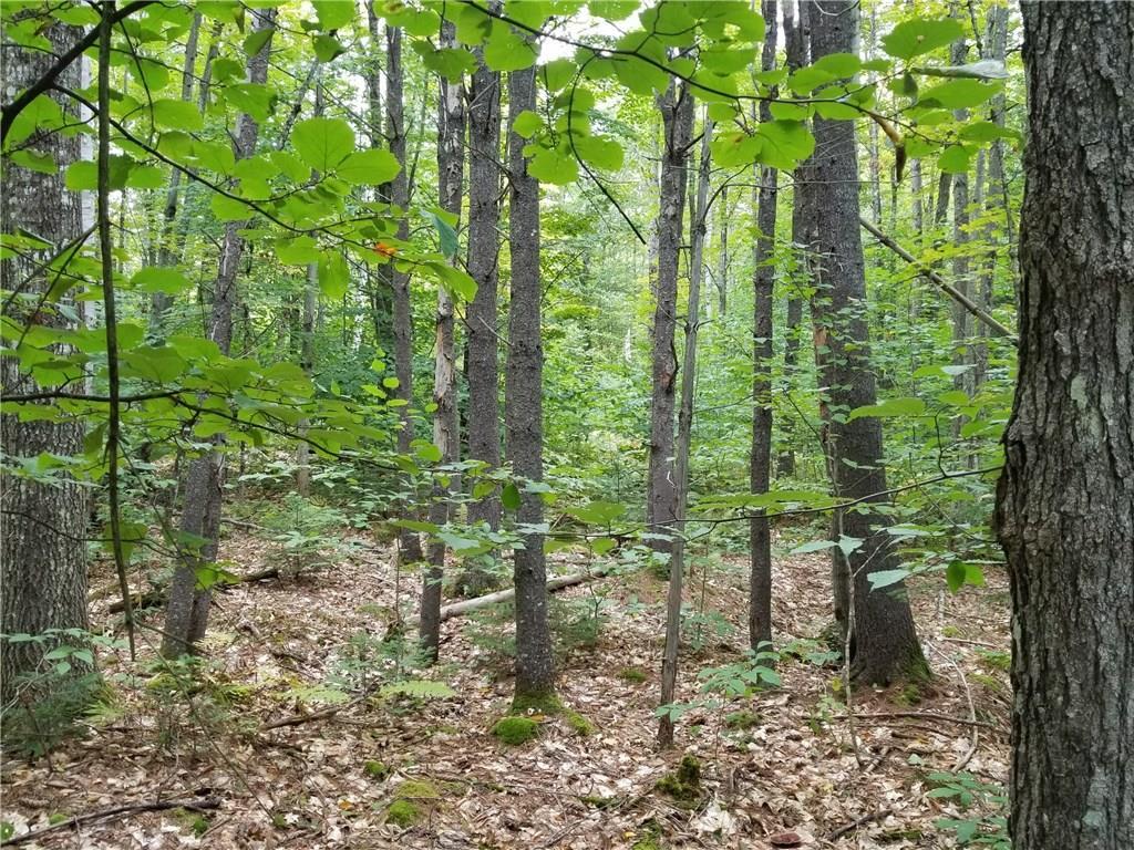 0 Brock School Road Buckfield, ME 04220 - Photo 4 of 19 Photo