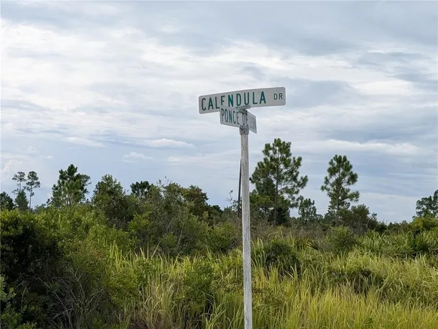 a view of a lake with a yard