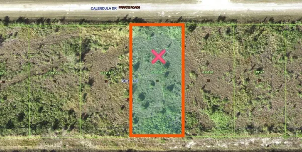 a view of a yard with plants and large tree