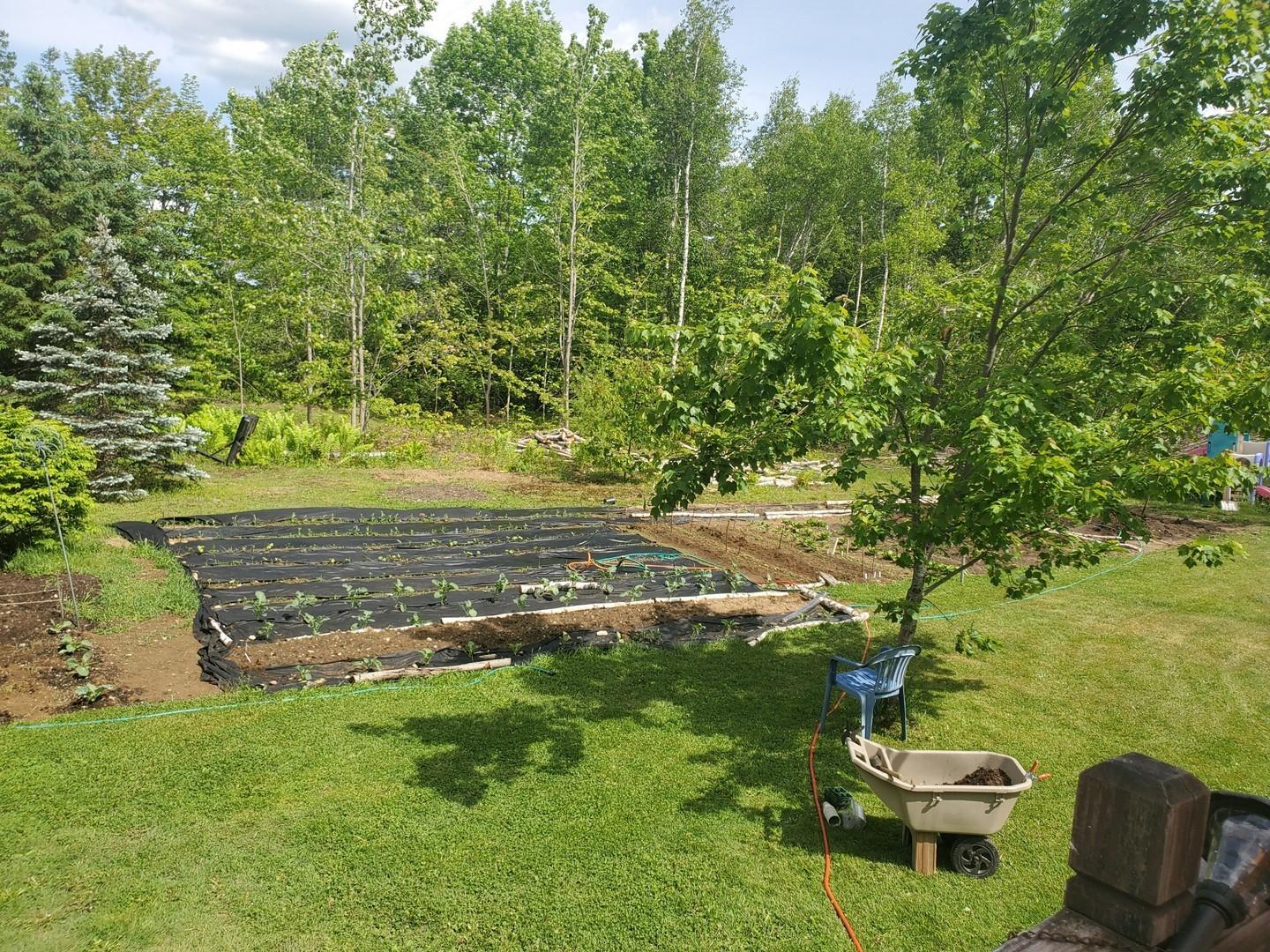 124 Burleigh Road Stetson, ME 04488 - Photo 15 of 27 14 (Copy)