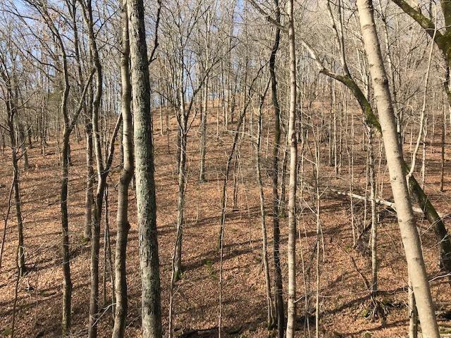 0 Buttermilk Run Road Manchester, OH 45144 - Photo 25 of 41