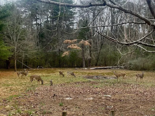 $190,000 | 406 Cartwright Loop, Whitwell, TN 37397