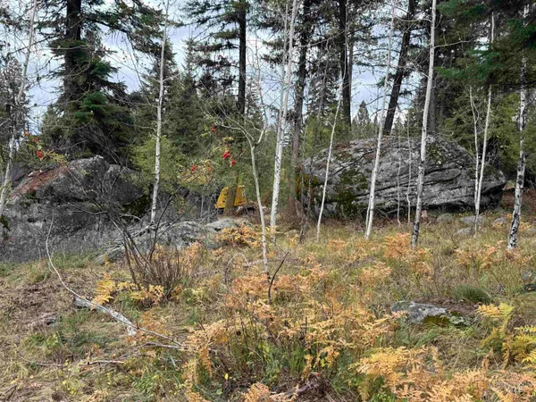 $250,000 | 1365 Majestic View Drive, McCall, ID 83638