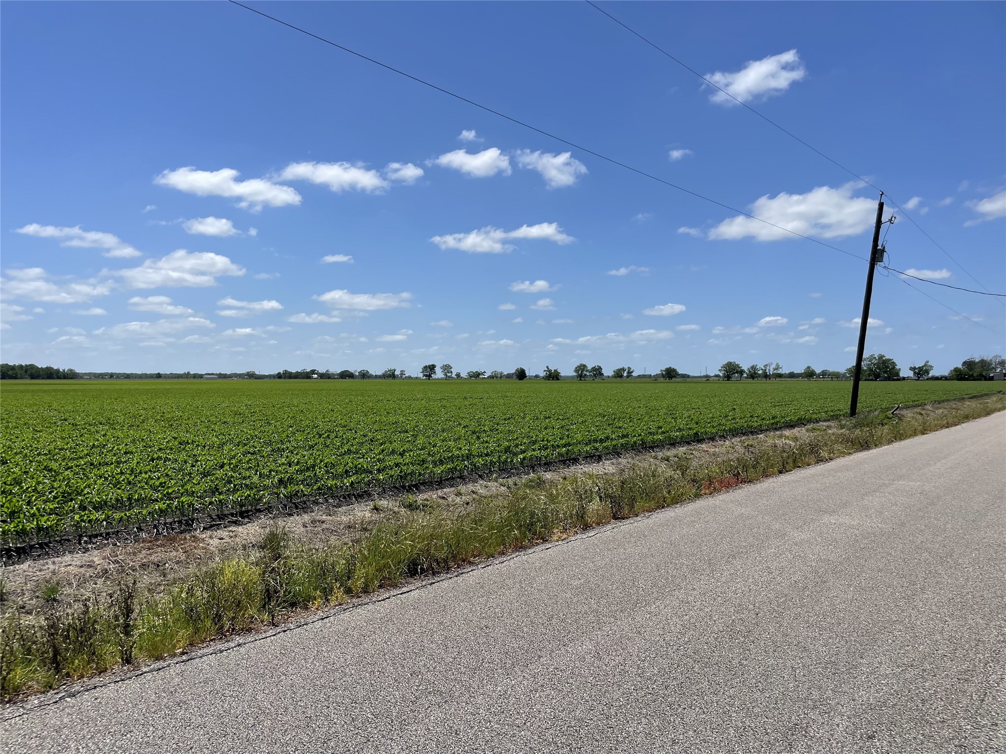 0 Schultz Road Damon, TX 77430 - Photo 5 of 9